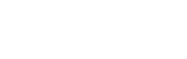 ProFlight Academy